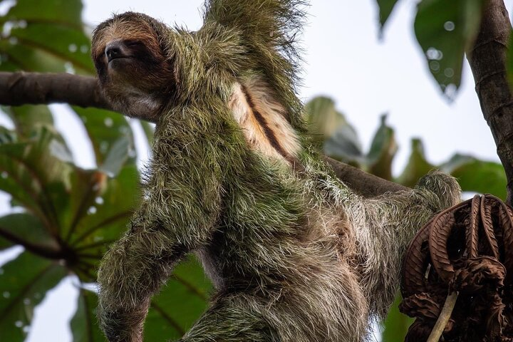 Arenal Full Day Tour - Photo 1 of 14